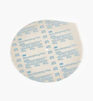 Replacement/Extra 8" Discs for Veritas Mk.II Power Sharpening System