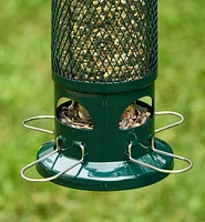 Squirrel Buster Standard Bird Feeder