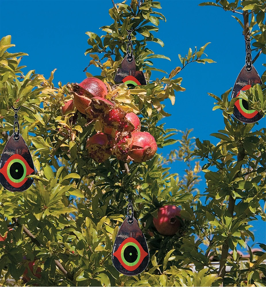 Scare Eye Bird Deterrents