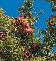 Scare Eye Bird Deterrents