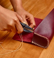 Micro Shears