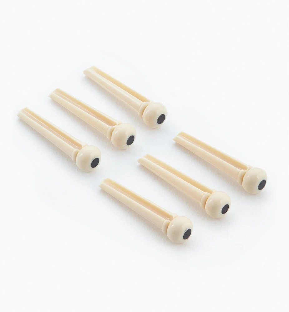Guitar Bridge & End Pins