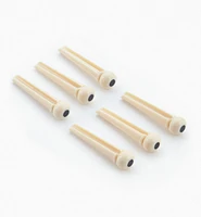 Guitar Bridge & End Pins