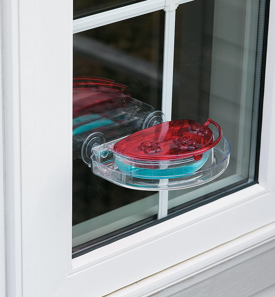 Window Hummingbird Feeder