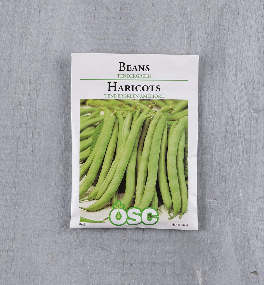 OSC Bean Seed Packet