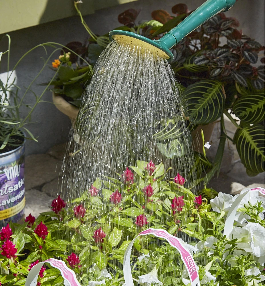 Arrosoir en plastique Haws, 6,8 L