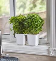 Herb Planter with Shears