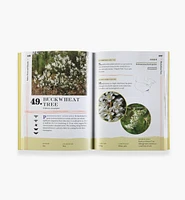 100 Plants to Feed the Bees
