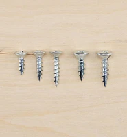 Phillips Hinge Edge Screws