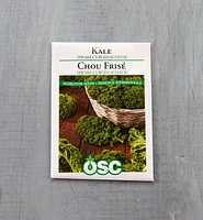 Sachet de semences de chou frisé OSC