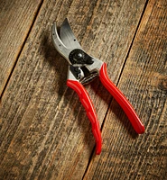 Felco #2 Classic Pruner
