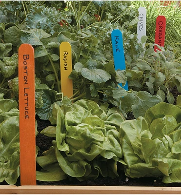 Colored Garden Markers