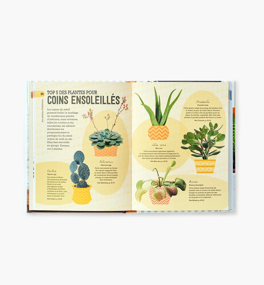 Comment ne pas assassiner vos plantes d'intérieur