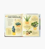 Comment ne pas assassiner vos plantes d'intérieur