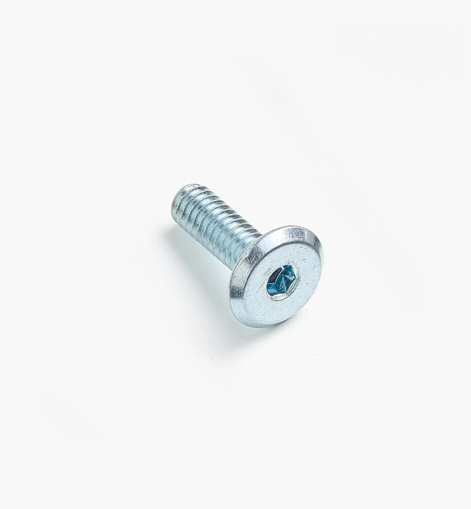 Rampa 1/4-20 Flat-Head Bolts