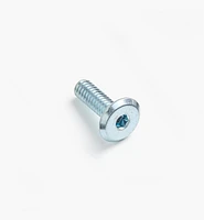 Rampa 1/4-20 Flat-Head Bolts
