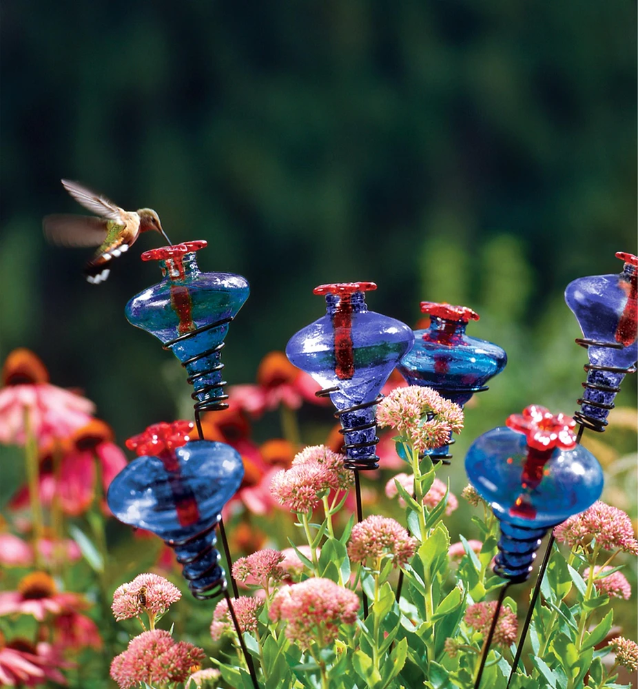 Glass Flower Hummingbird Feeder