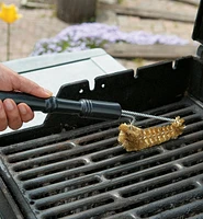 Barbecue Brush