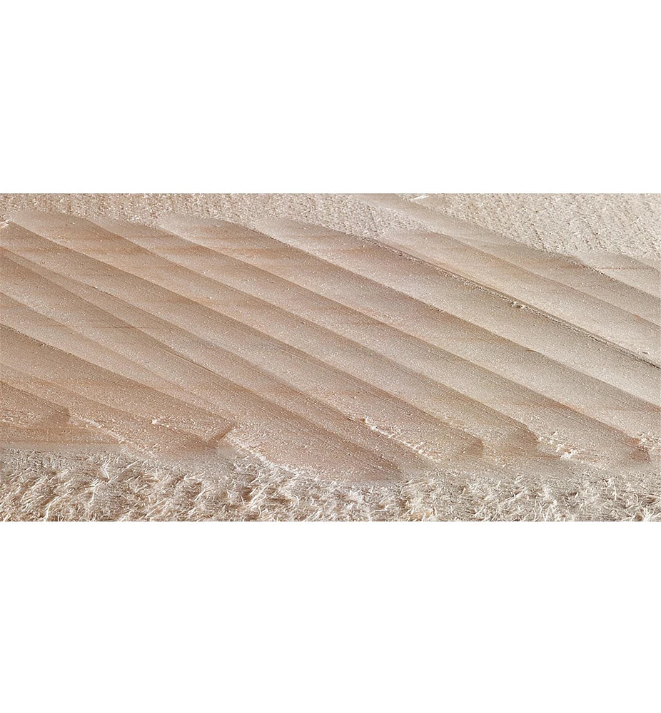 Veritas Scrub Plane