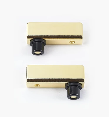 Pin-Pivot Hinges for Glass Doors