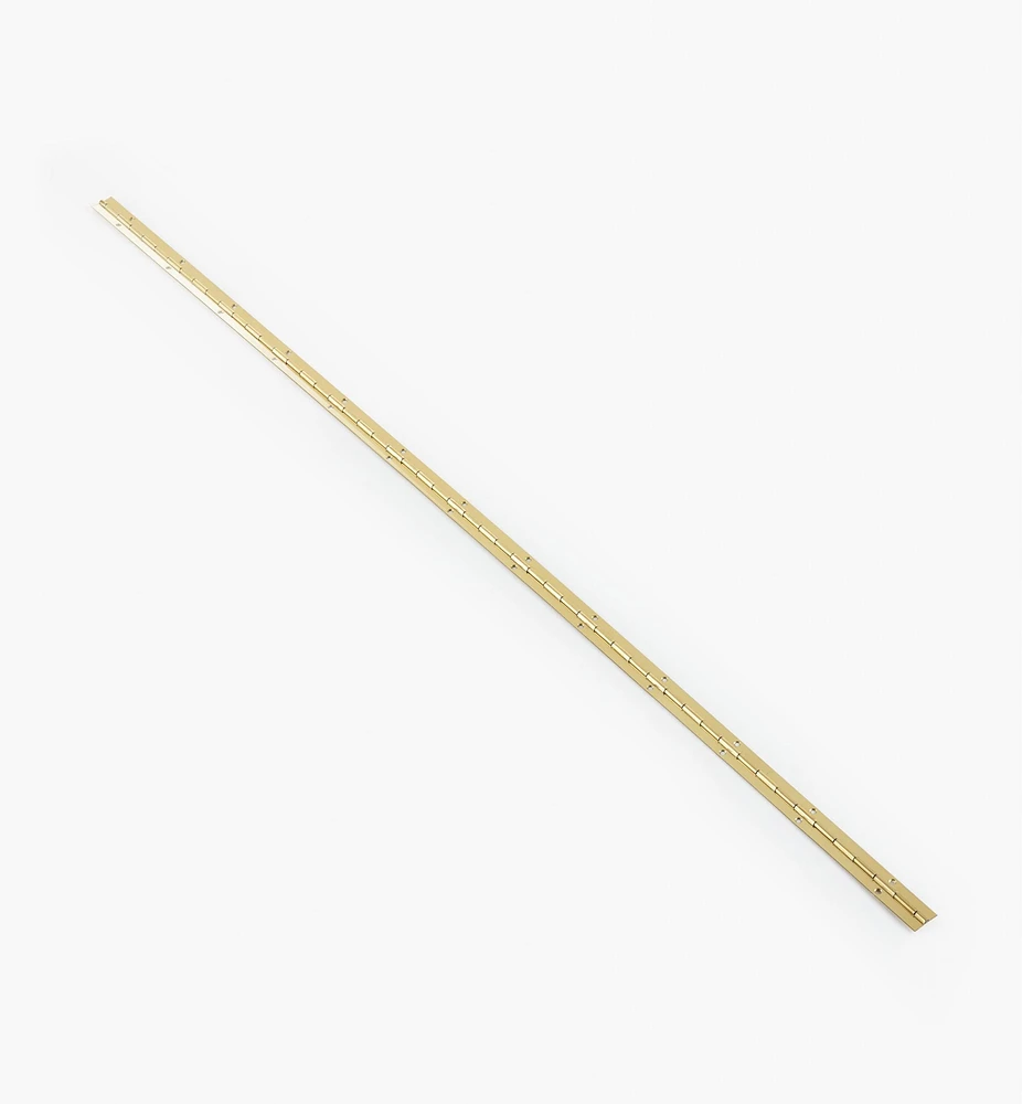 Screw-Hole Piano Hinges