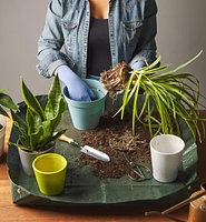 Tabletop Tarp