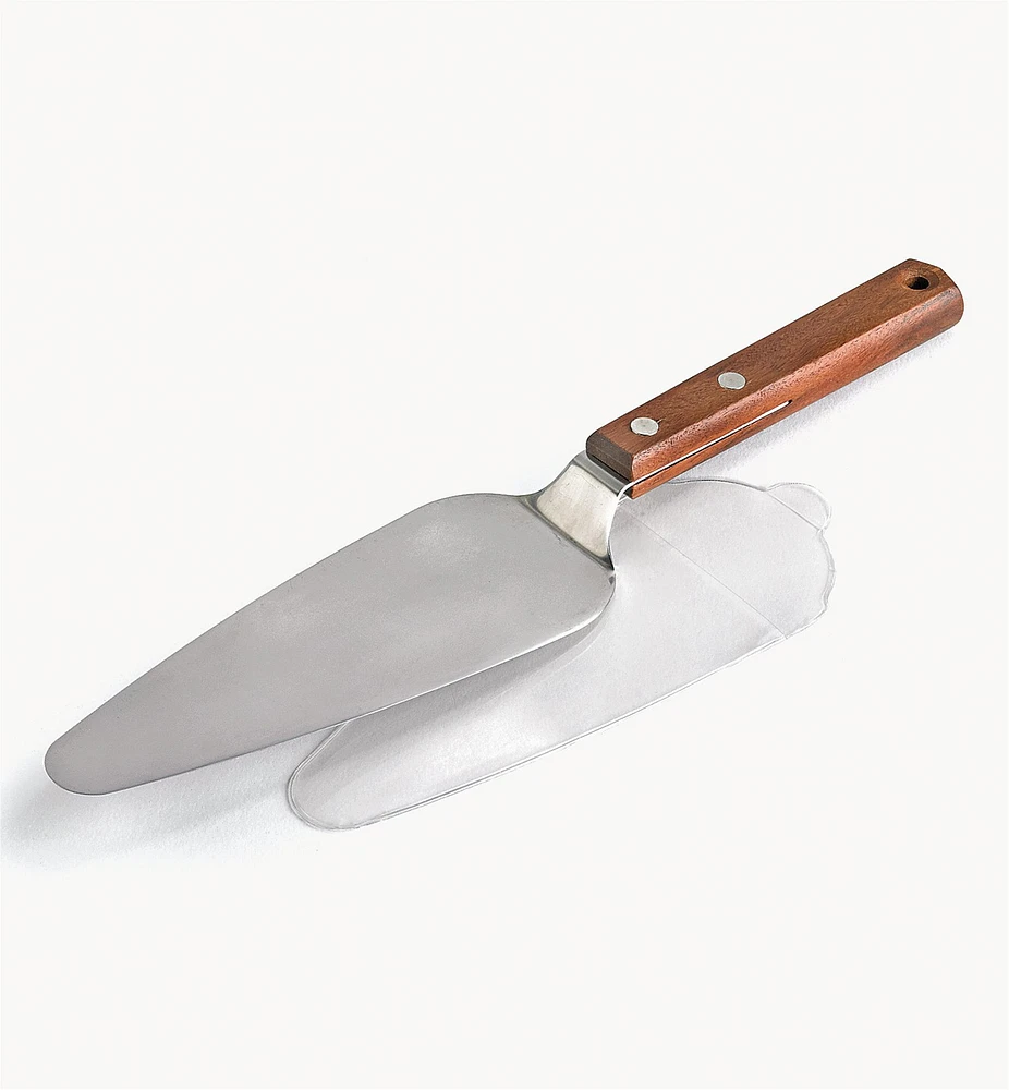 Classic Stainless-Steel Cake Knife and Server