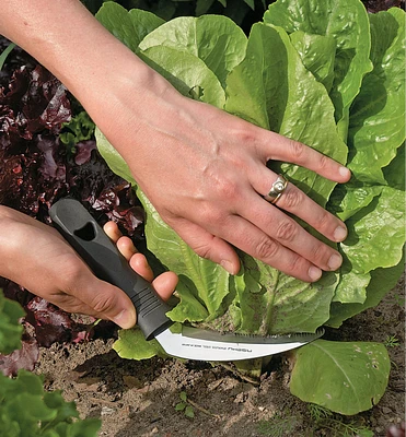 Sickle Knife with Sheath