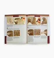 Pyrography Workbook
