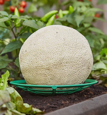 Melon/Squash Cradles