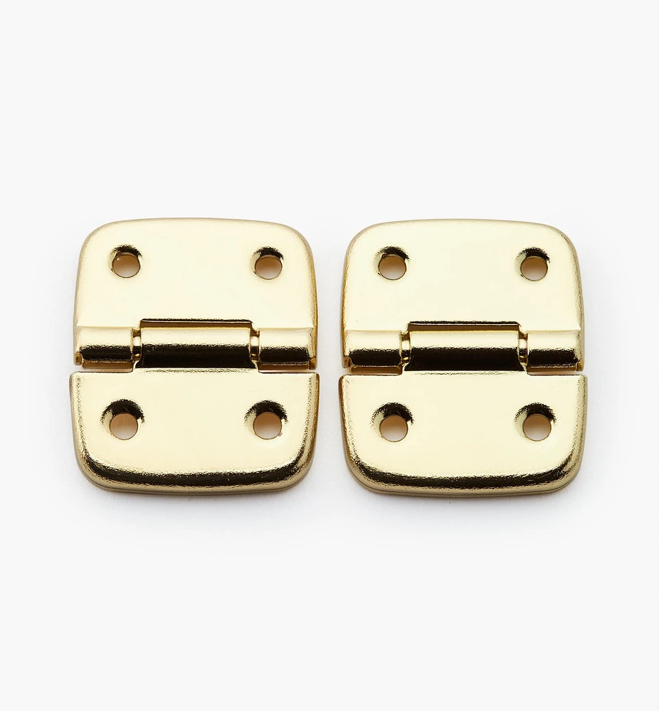 Case Hinges