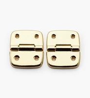 Case Hinges