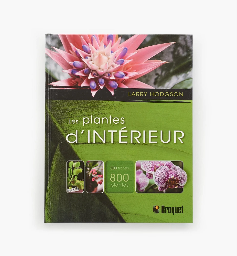 Les plantes d'intérieur