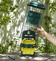 Squirrel Buster Suet Feeder