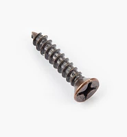 Finished Steel Screws