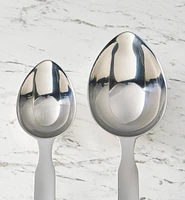 Long-Handled Measuring Scoops