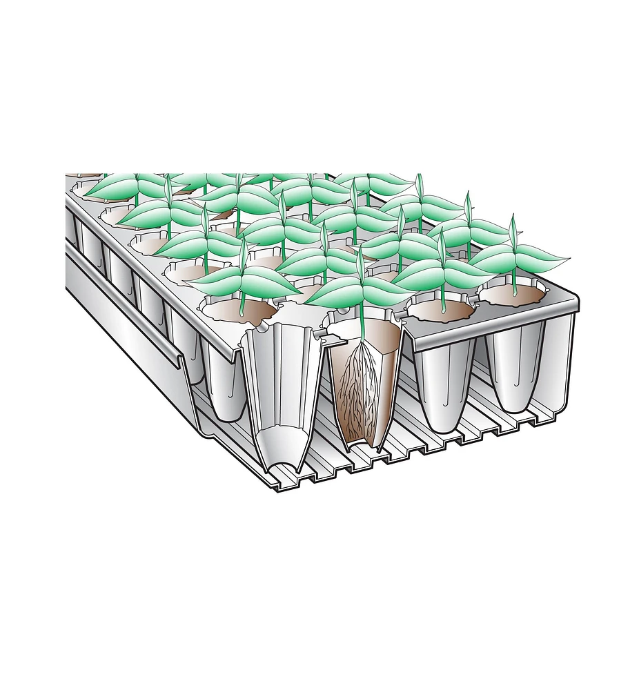 Deep-Root Seed Starters