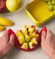 Folding Apple Slicer