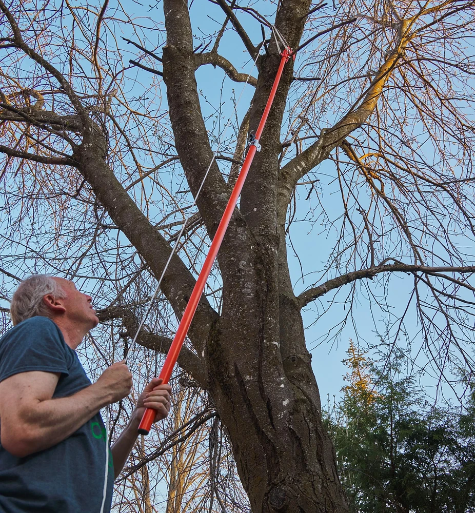 Pole Pruning Set