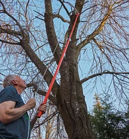 Pole Pruning Set