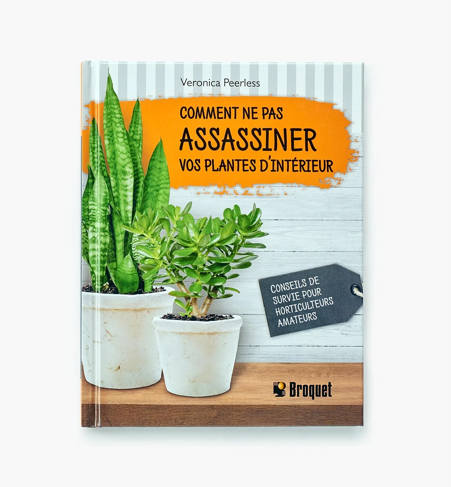Comment ne pas assassiner vos plantes d'intérieur