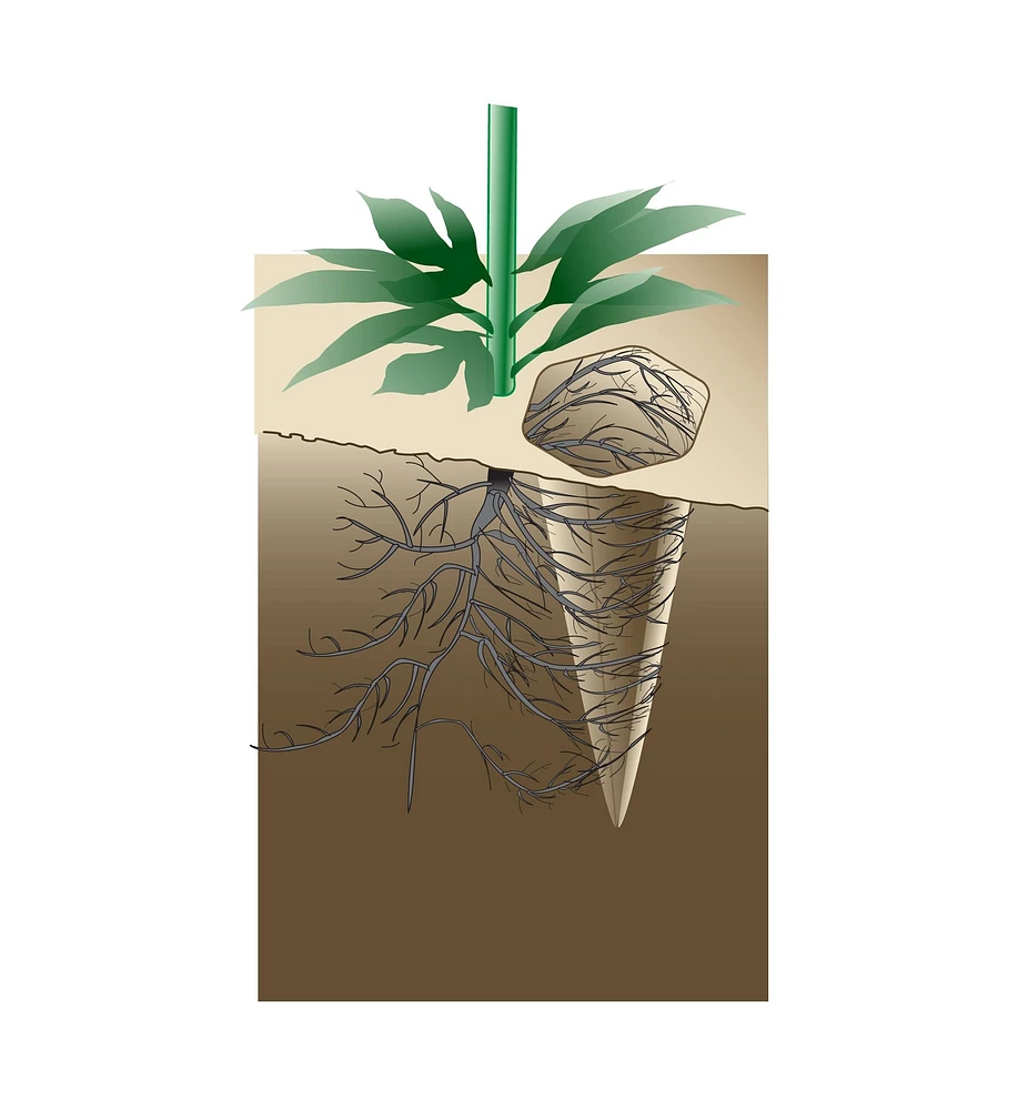 Watering Spikes