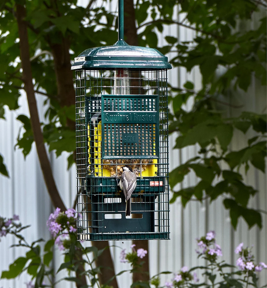 Squirrel Buster Suet Feeder