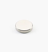 Rare-Earth Circular Magnets