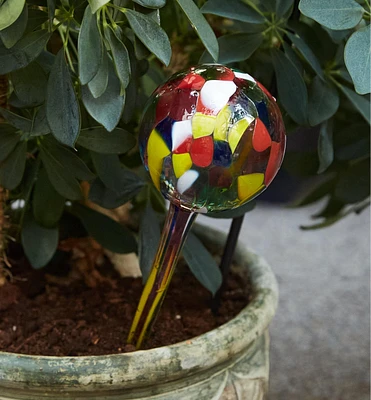 Watering Bulb