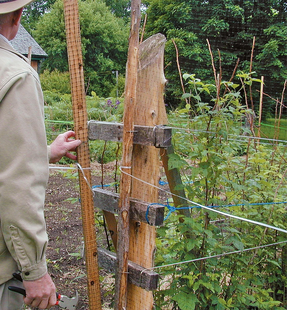 Deer Fence