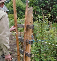 Deer Fence