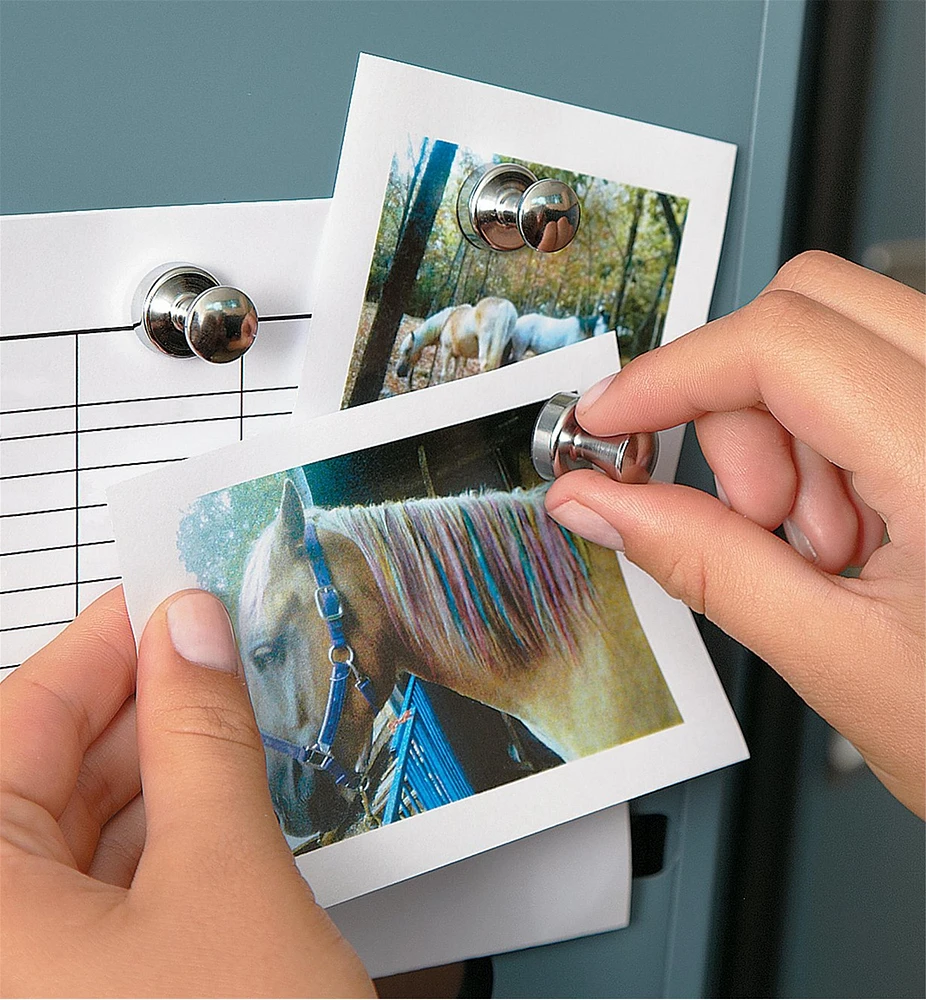 Super Magnets for the Fridge