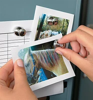 Super Magnets for the Fridge