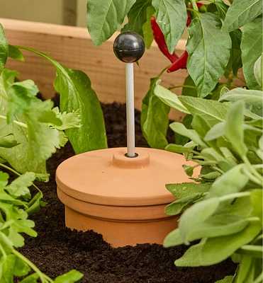 3 Litre Olla